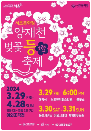 양재천 벚꽃 등 축제