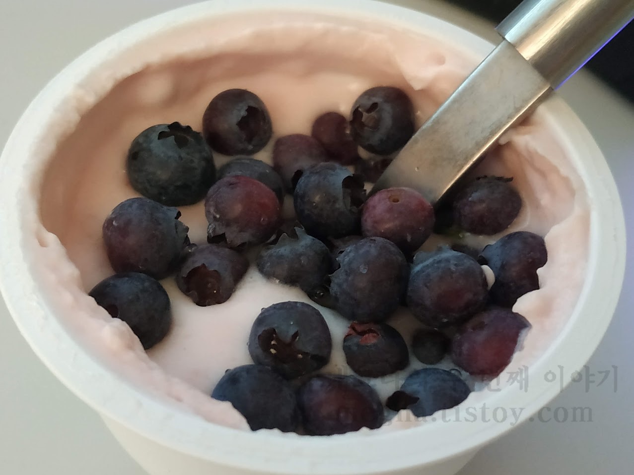 요플레와 블루베리 열매