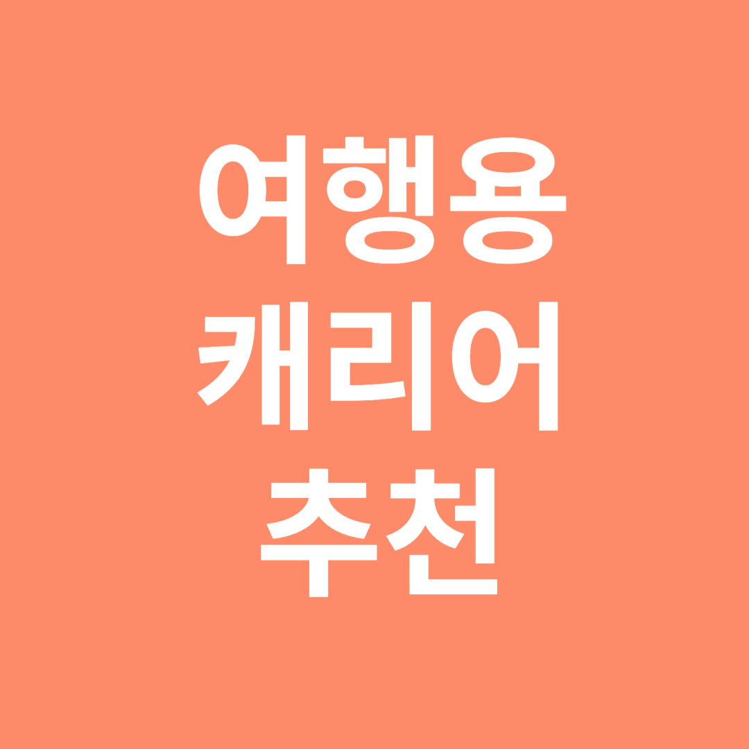 여행용 캐리어 추천