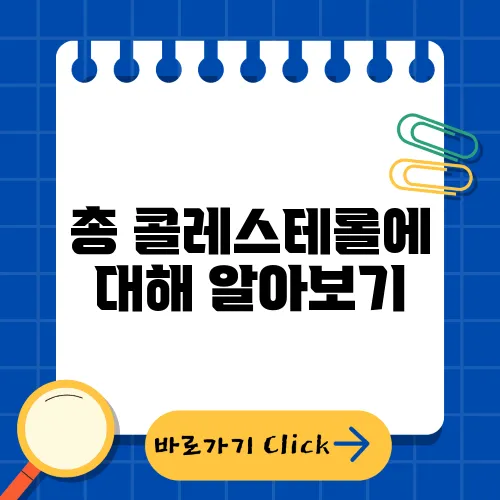 총 콜레스테롤에 대해 알아보기