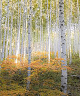 단풍여행 1박2일 버스여행 단풍구경