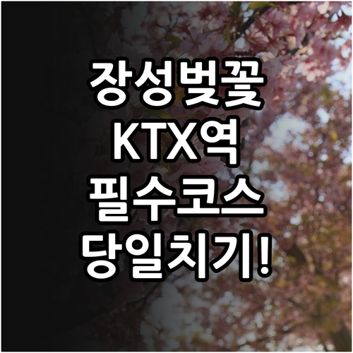 장성역 KTX 이용객을 위한 장성 벚..