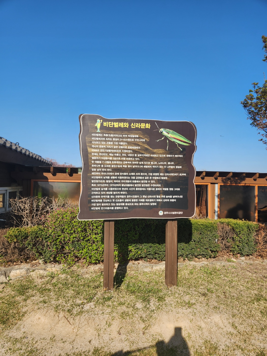 경주 첨성대