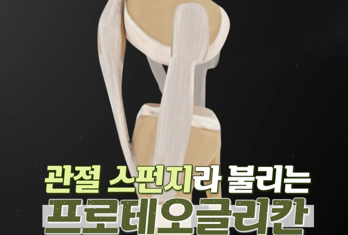 프로테오글리칸 효능 