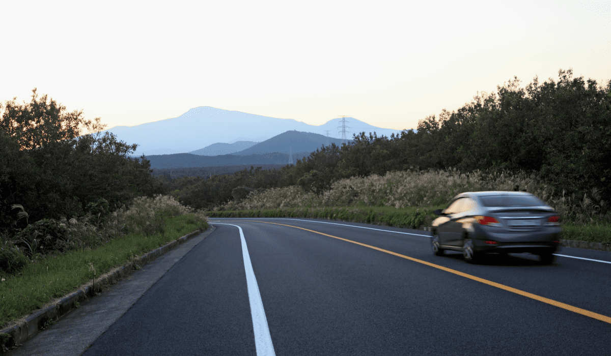 제주렌트카비교사이트_15