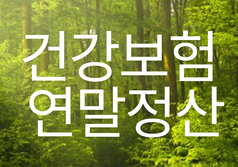 건강보험 연말정산 이미지