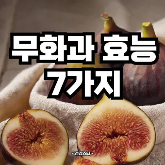 무화과 효능 칼로리 먹는 방법 수확시기 보관법_17