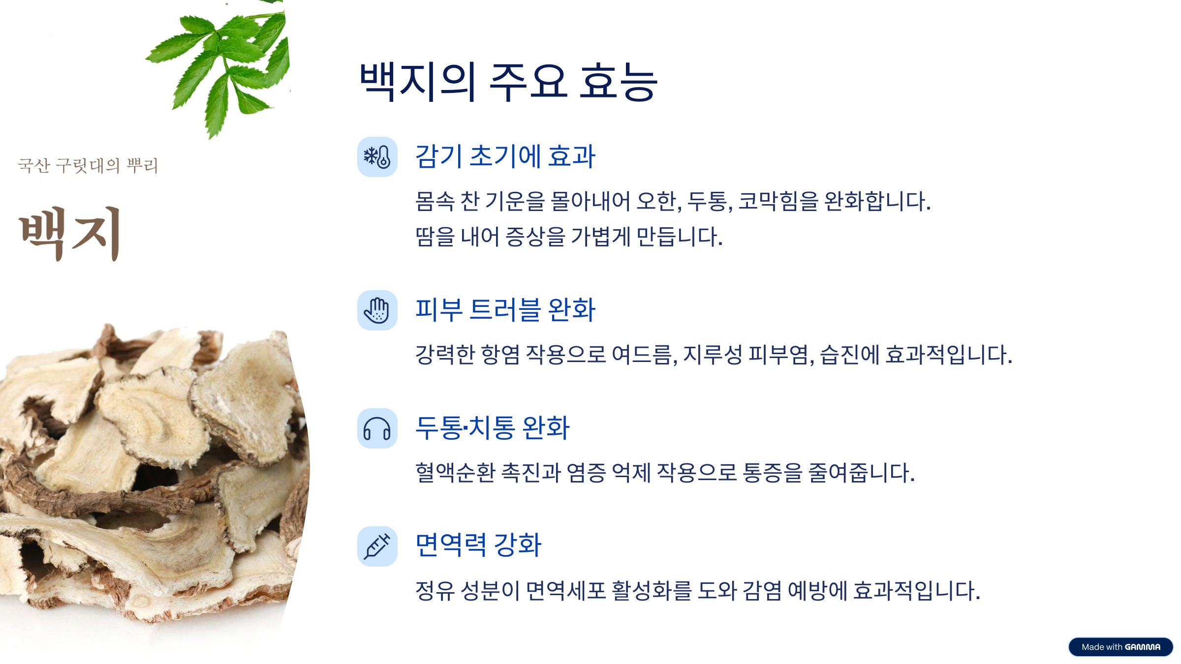 백지의 주요 효능 정리