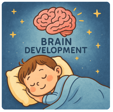 숙면이 아이 뇌 발달에 미치는 놀라운 영향
