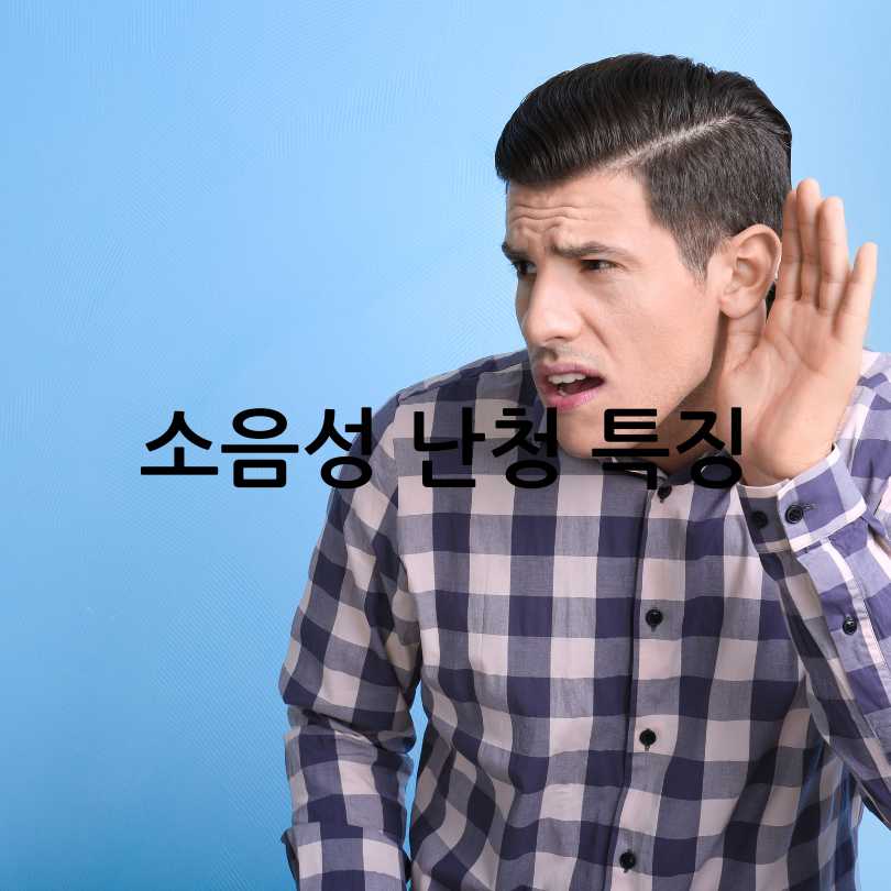 소음성 난청
