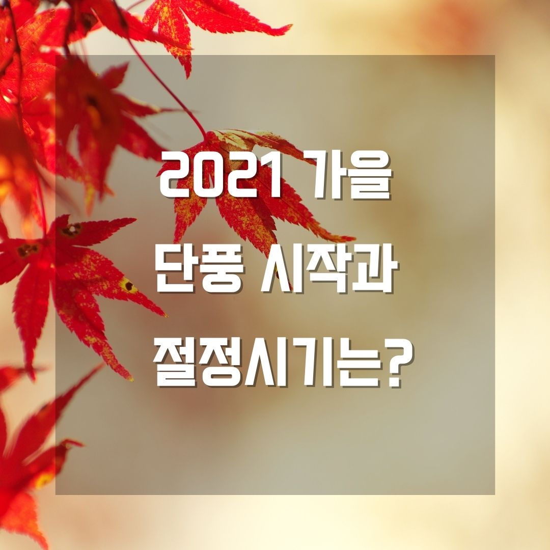 2021 가을 단풍 시작과 절정 시기