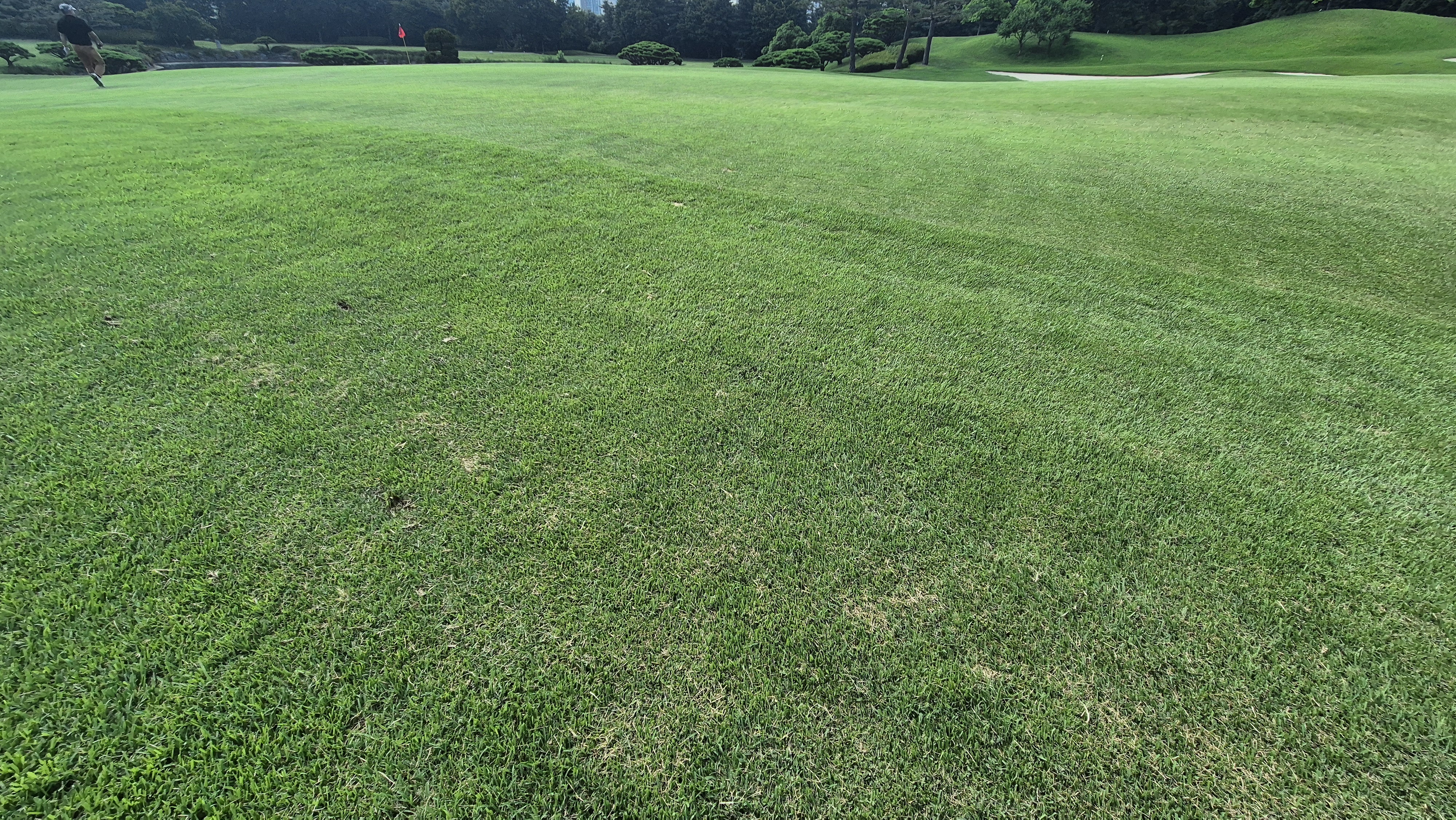 태광cc 북-서 코스 라운드 후기