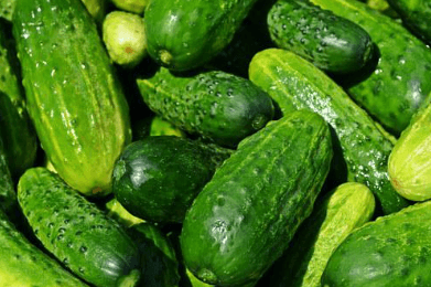 다이어트 식단 허브 샌드위치 썸네일
