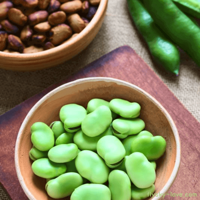 혈관건강에 도움되는 파바빈