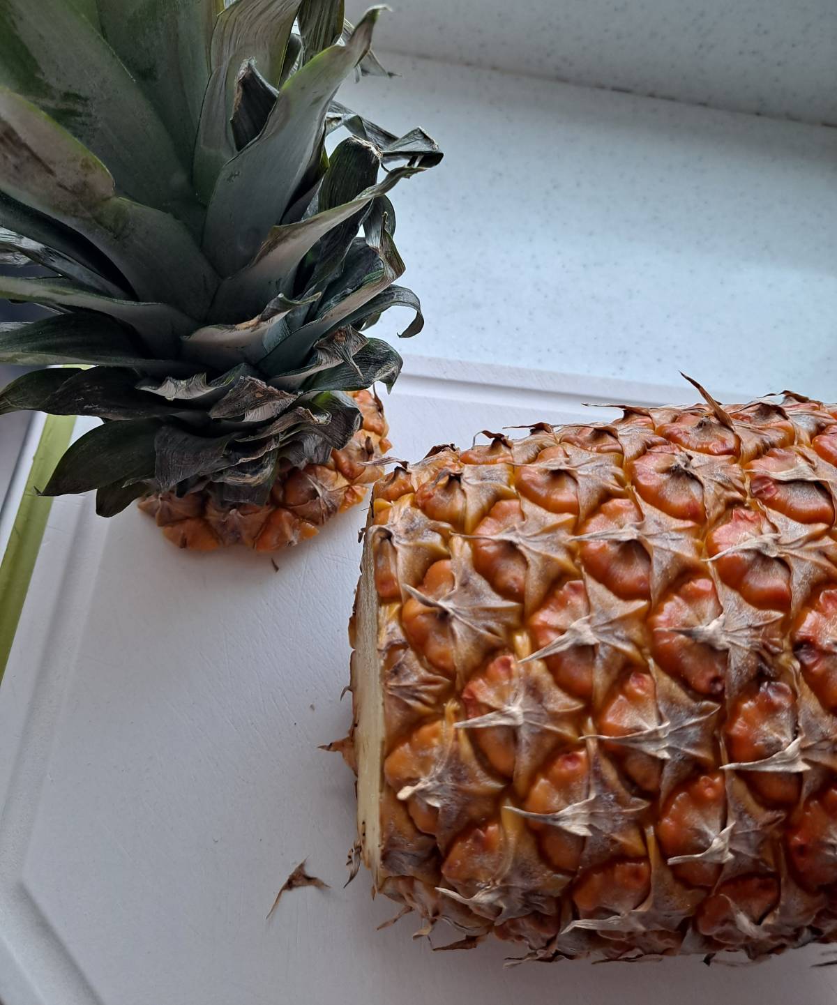 파인애플 밑둥 끝