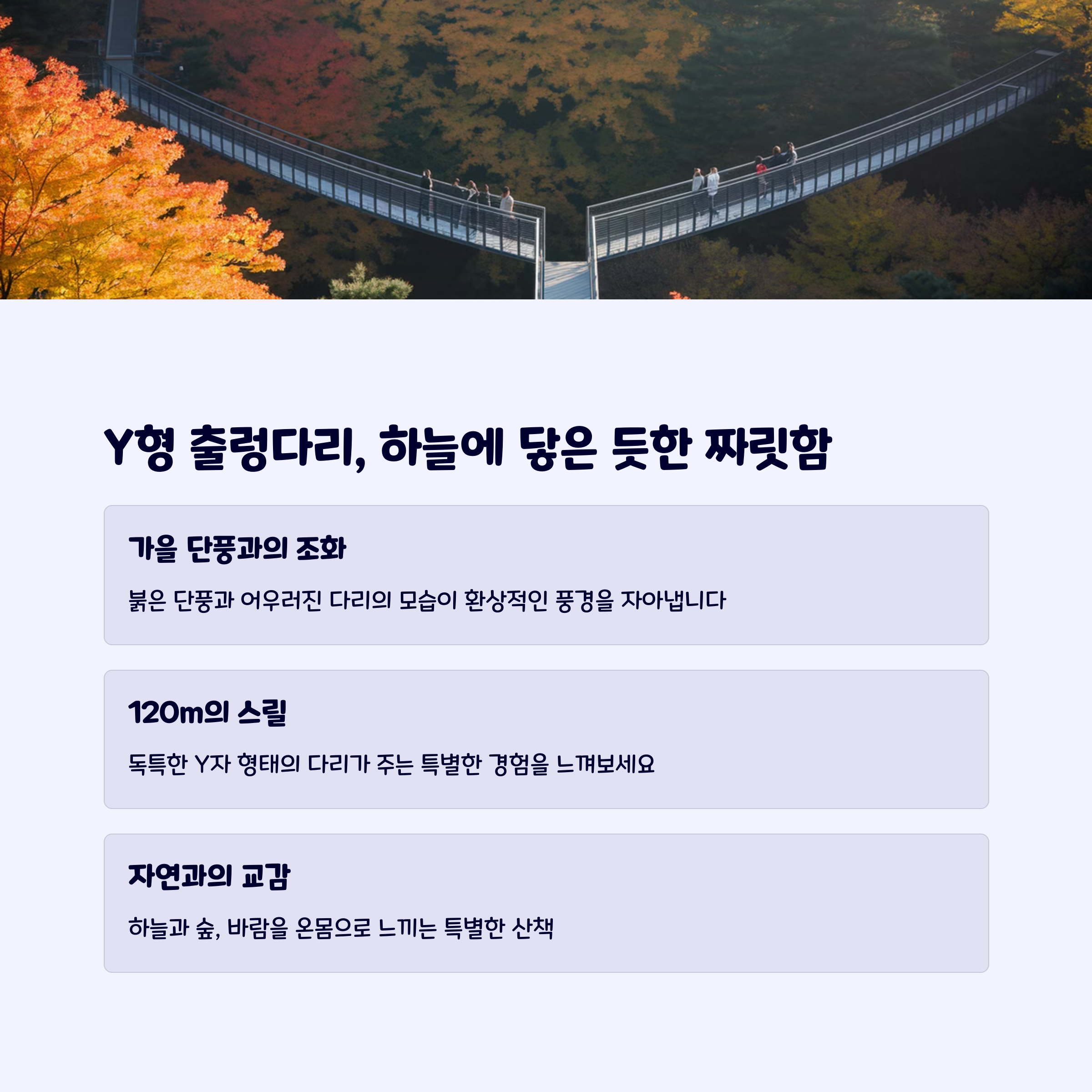 y형출렁다리