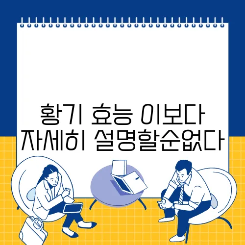 황기 효능 이보다 자세히 설명할순없다
