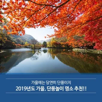 가을 단풍 명소 대중교통 걷기 코스 무료주차 팁_6