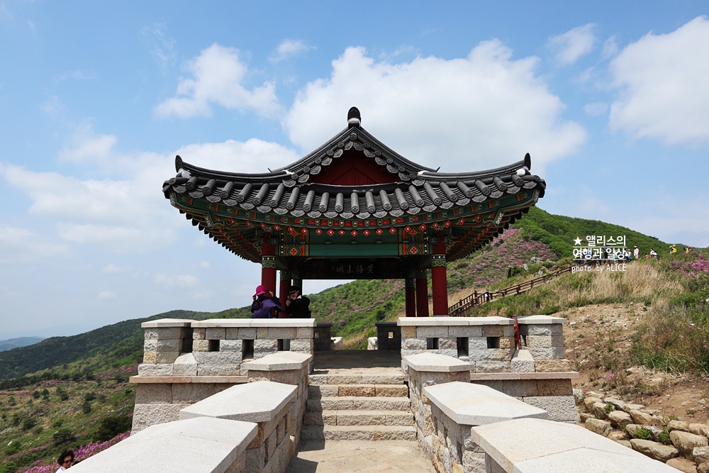 황매산 철쭉 개화시기, 셔틀버스, 산청 합천 5월 가볼만한곳