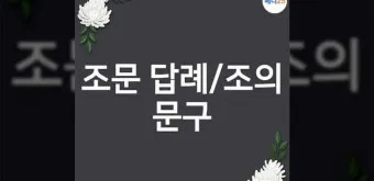 조의 인사말 모음 예시 메일_16