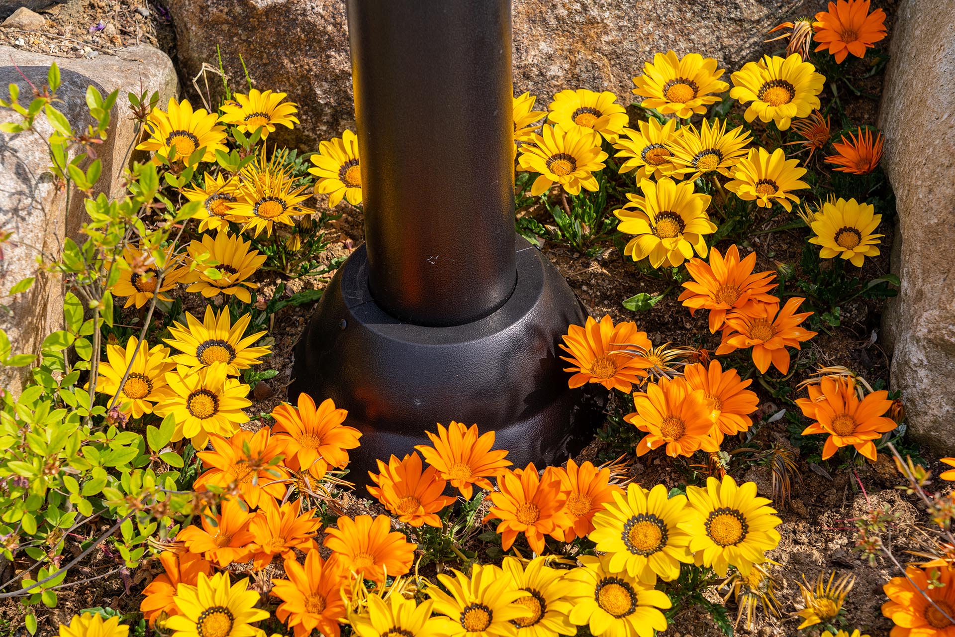 주차장 가는 길