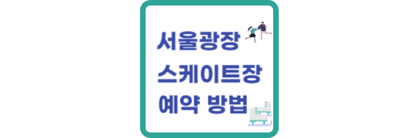 서울광장 스케이트장