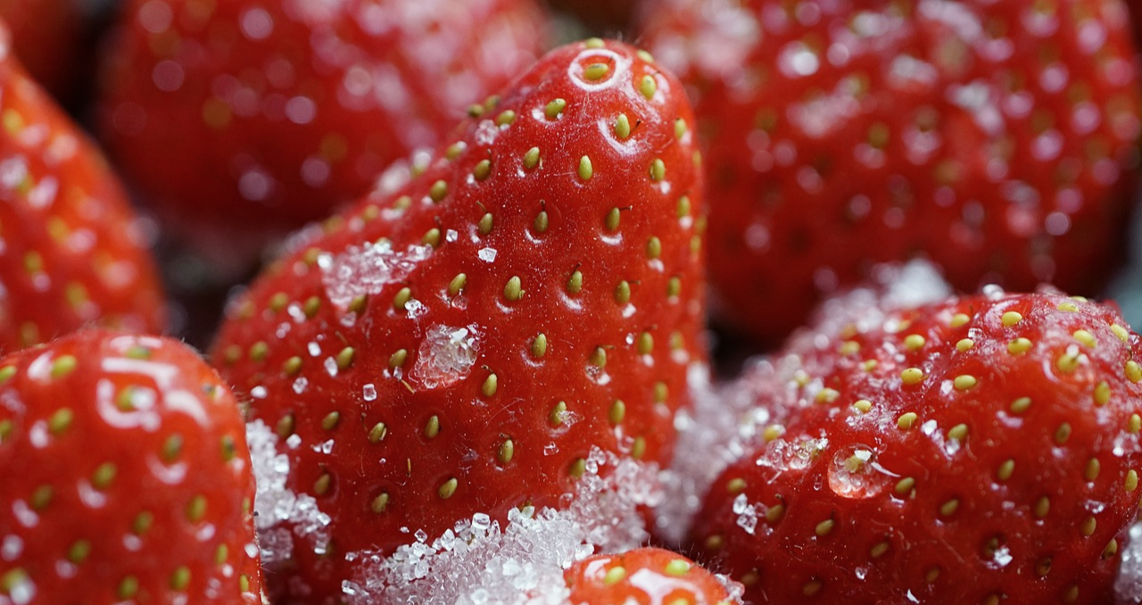 설탕이 뿌려진 딸기