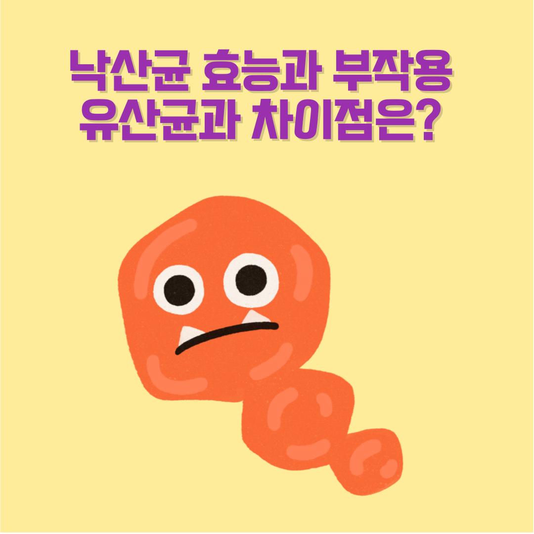 낙산균 효능과 부작용 총정리｜유산균과 차이점은?