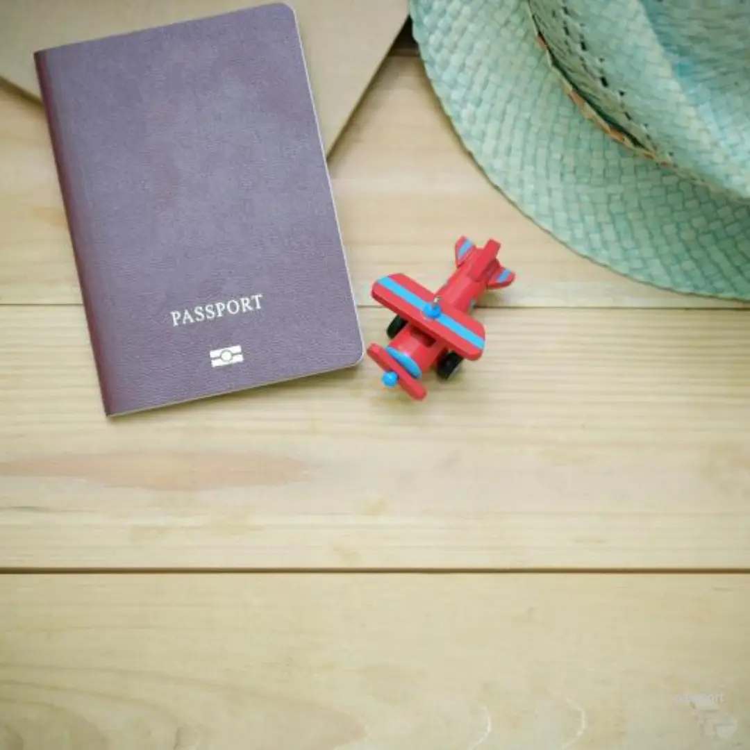 여권번호 조회 방법 (온라인 조회)