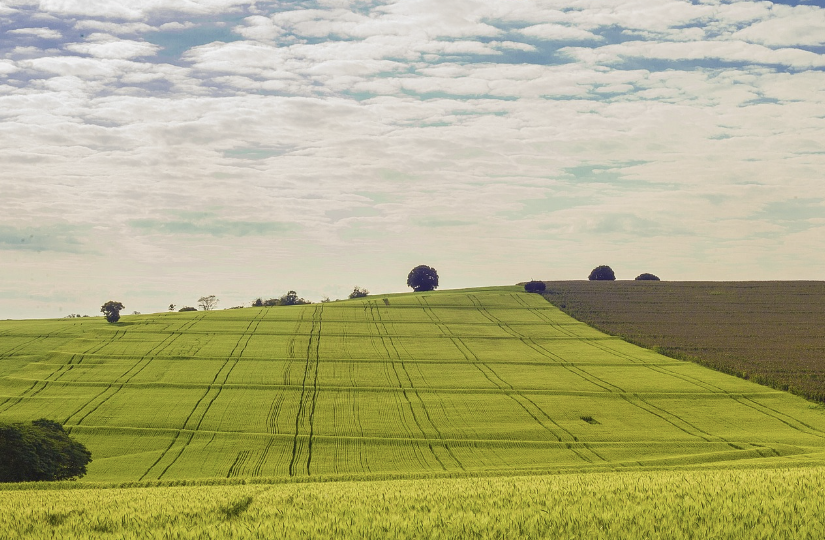 토지거래허가제 개념과 대상 그리고 절차 및 영향에 대하여