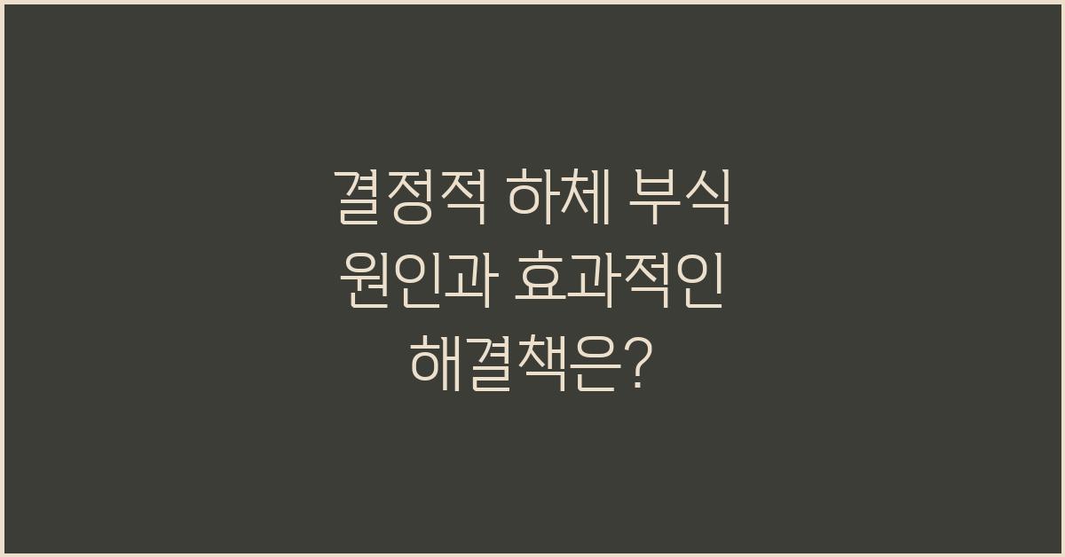 결정적 하체 부식 원인과 해결책