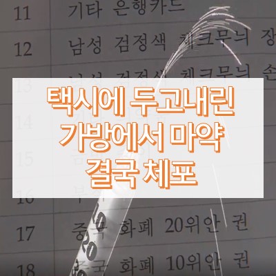 택시 안 마약가방