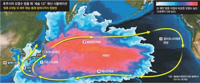 환경 위기의 신호등: 일본 방사능 폐기물과 동해 바다