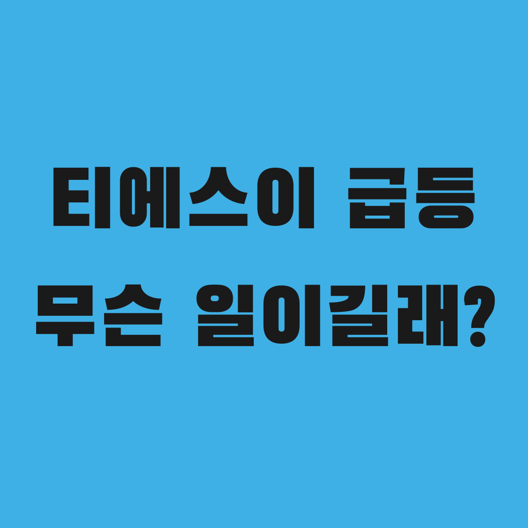 티에스이 하루 만에 9.51% 급등, 무슨 일이길래