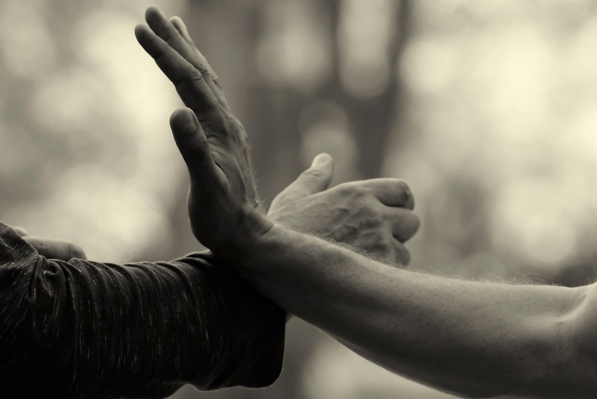 손을 이용한 무술