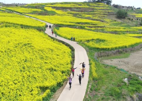 청산도 슬로걷기 축제