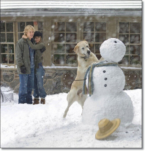 아이들이 만든 눈사람을 넘어뜨리는 말리의 모습