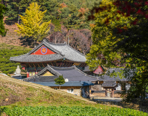 다솔사