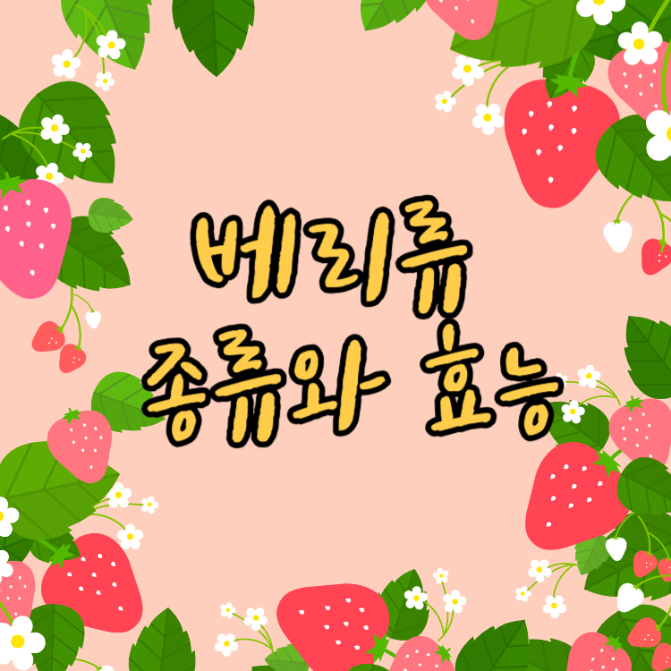 (식품) 베리류의 종류와 효능