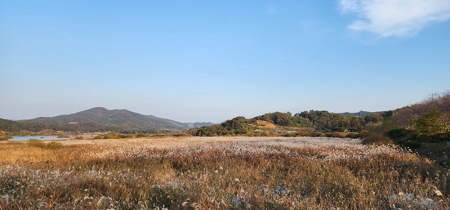 전라남도 보성 복내파크골프장 소개