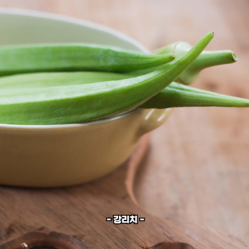오크라 효능