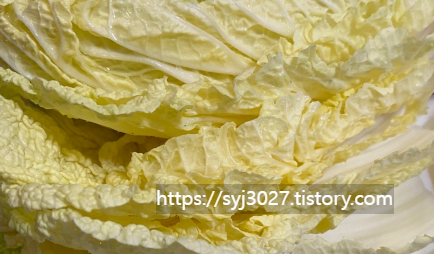 Alt 속성 문제 해결 설명 이미지