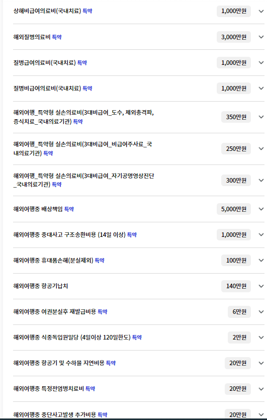 메리츠 화재 보장 내용