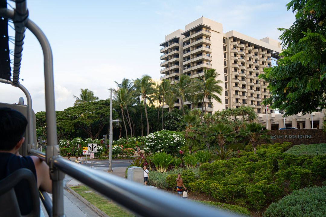 하와이 핑크 트롤리 이용 후기