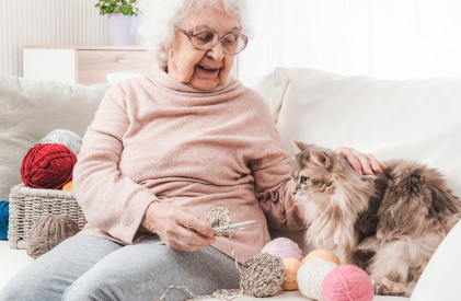 할머니와 고양이.