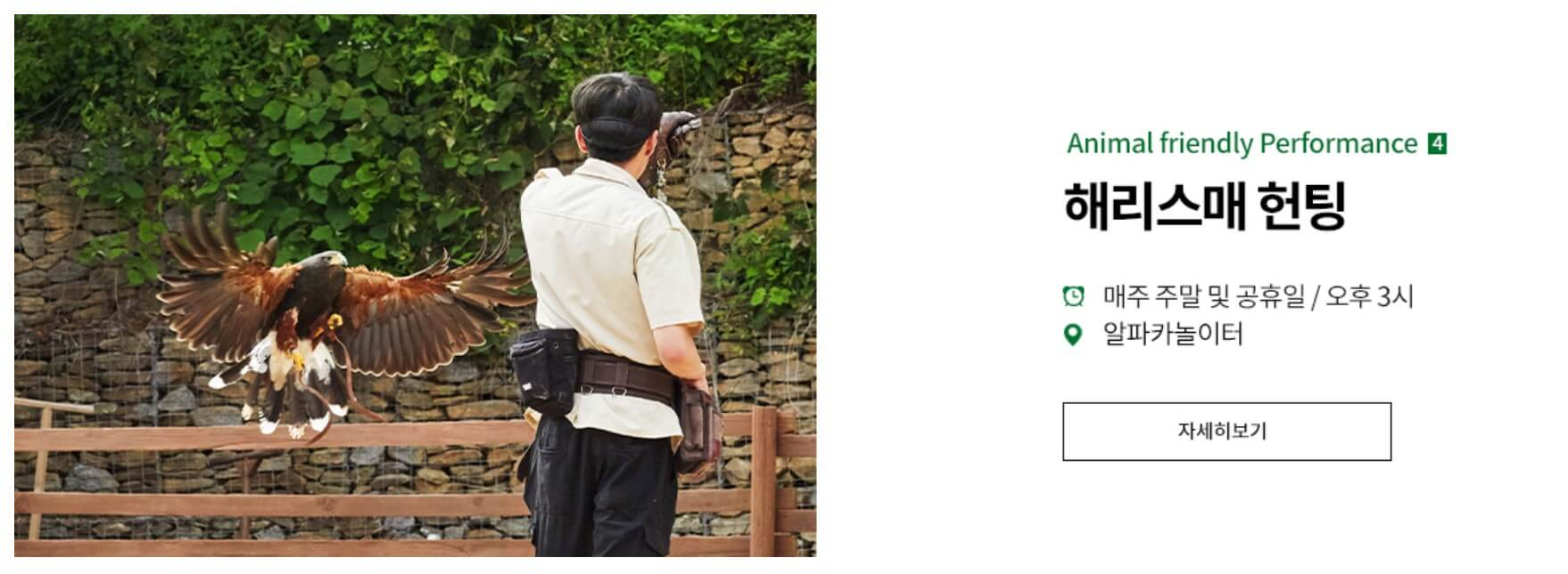 홍천 가볼만한곳 베스트10 알파카월드