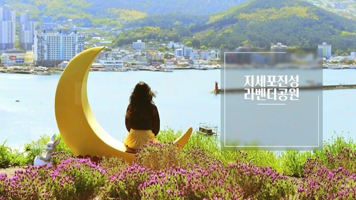 거제-라벤더공원
