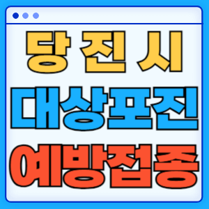 충남 당진시 대상포진 백신 무료 예방접종 비용지원 신청방법 대상자 준비서류