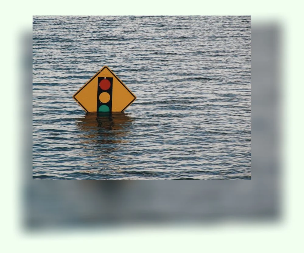 재난대비_3_subsection