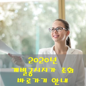 개별공시지가.jpg